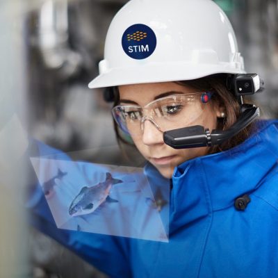 STIM_Feature_Image-1-1024x684-1
